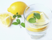 citron dietetique nutrition toulouse